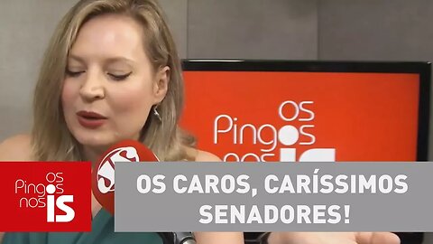 Joice: Os caros, caríssimos senadores!