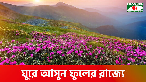 ঘুরে আসুন ফুলের রাজ্যে | Velley of Flowers | Uttarakhand | Heaven on Earth