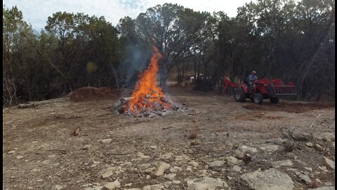 Cedar clearing and burning w/ Mahindra 1635L