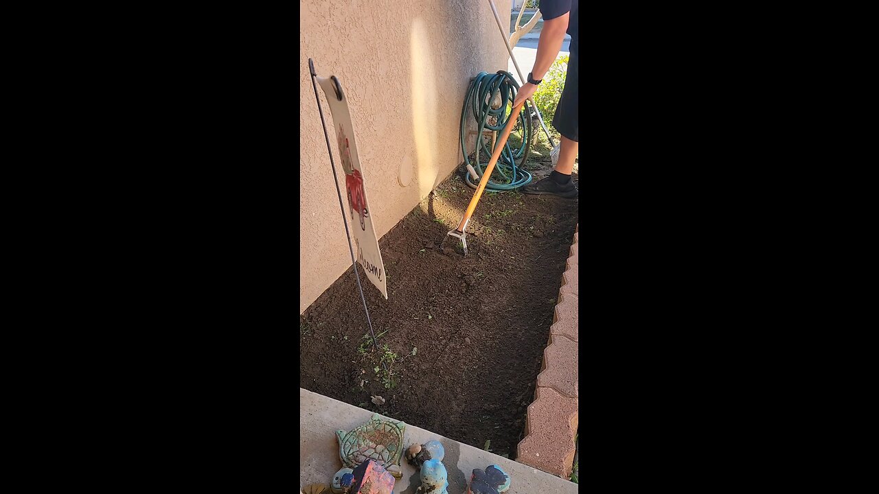 Weeding Time Lapse