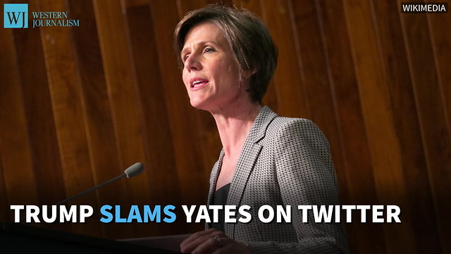 Trump Slams Yates On Twitter; ‘She Said Nothing But Old News’