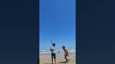 Kids feed the seagulls