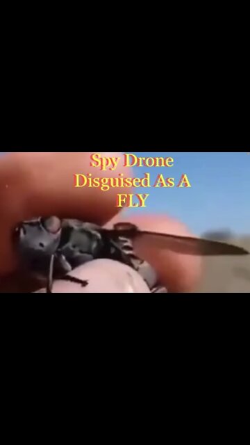 Spy Done Disguised As A Fly