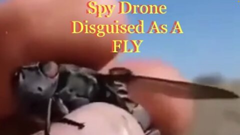 Spy Done Disguised As A Fly