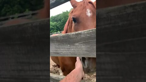 Sorry for the freaky camera work