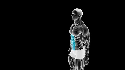 Best Abdominal Workout Exercises For Men And Women