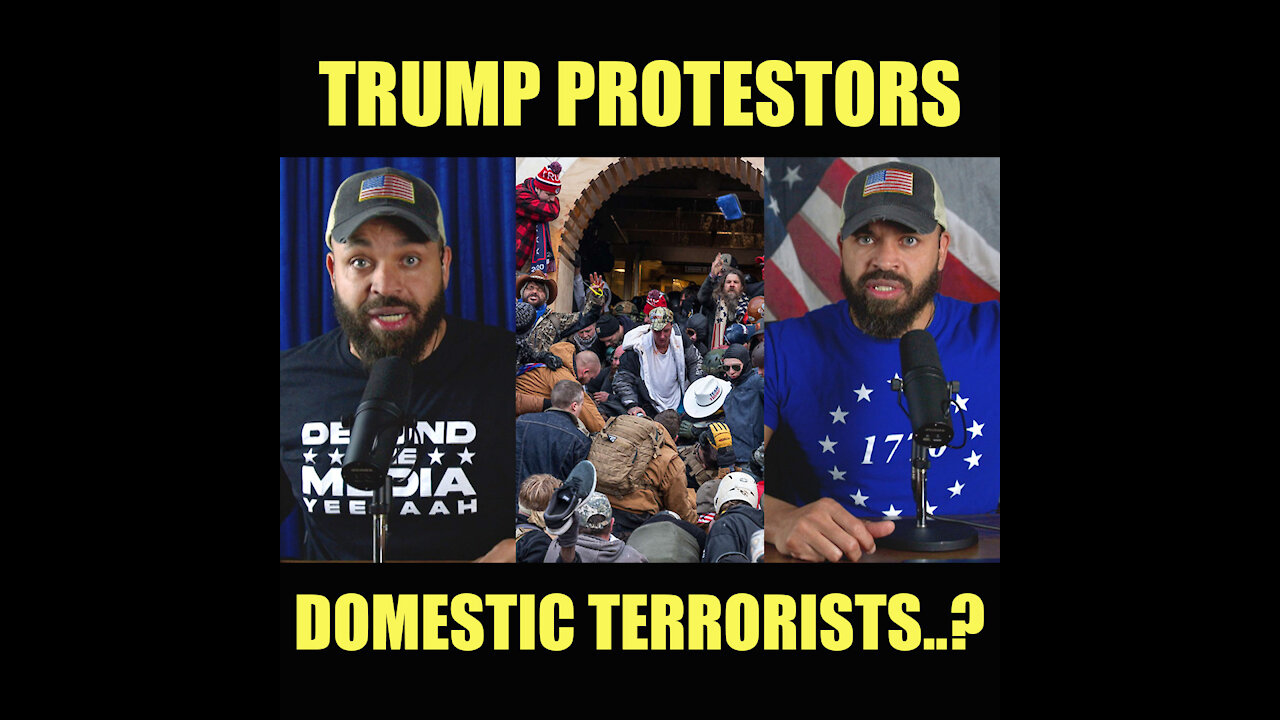 Trump Protestors Domestic Terrorists?