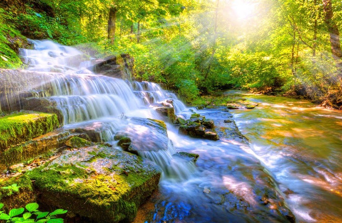 Relaxing and Calm music to release stress