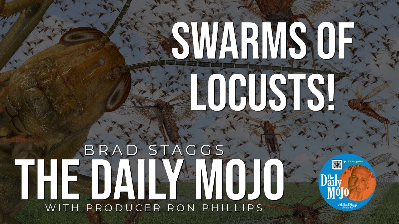 Swarms Of Locusts! - The Daily Mojo 022024