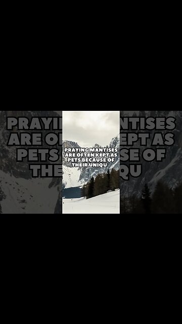 Incredible Random Facts That Will Expand Your Mind! [2023] #shorts #facts #viralshorts #fyp #life