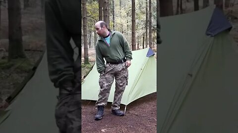 woodland wildcamping