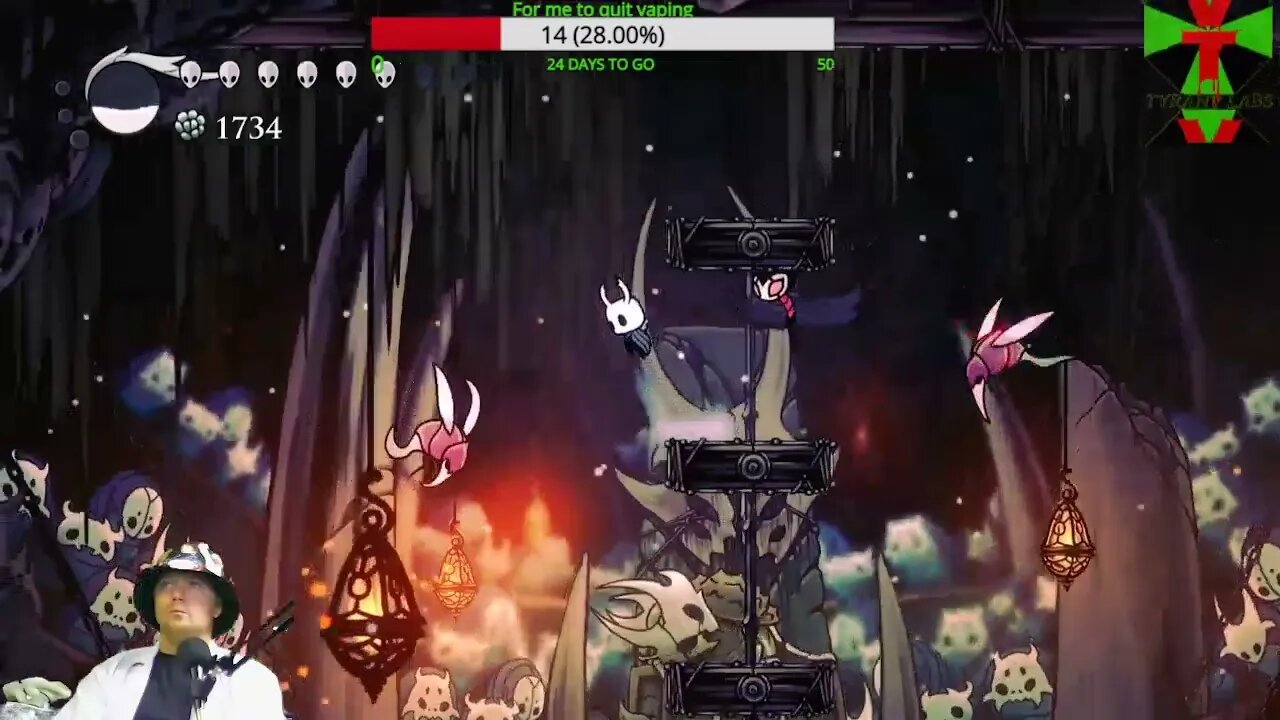 Hollow Knight revisited 13