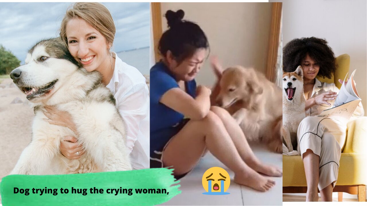 Dog trying to hug the crying woman, Dogs & Puppies