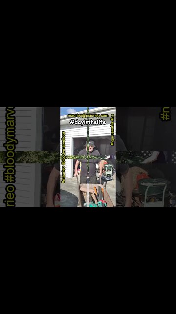 maurieo #shorts ANOTHER #BLOODYMARVELLOUS DAY