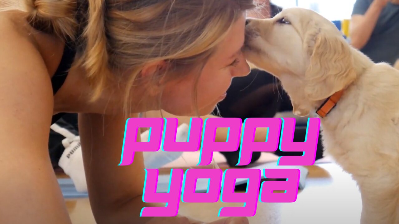 Yoga With Puppies!!!