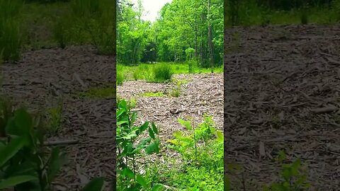 What works in land management