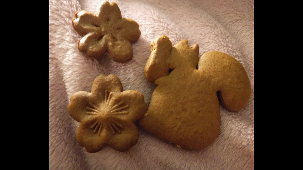 Homemade gingerbread 🍁 animals ⋆꙳•❅*⋆ & the Cats