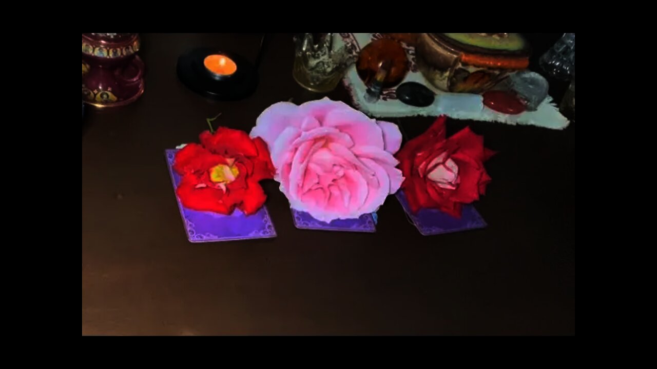 ~ PICK A ROSE ~ PICK A CARD ~ w/timestamps