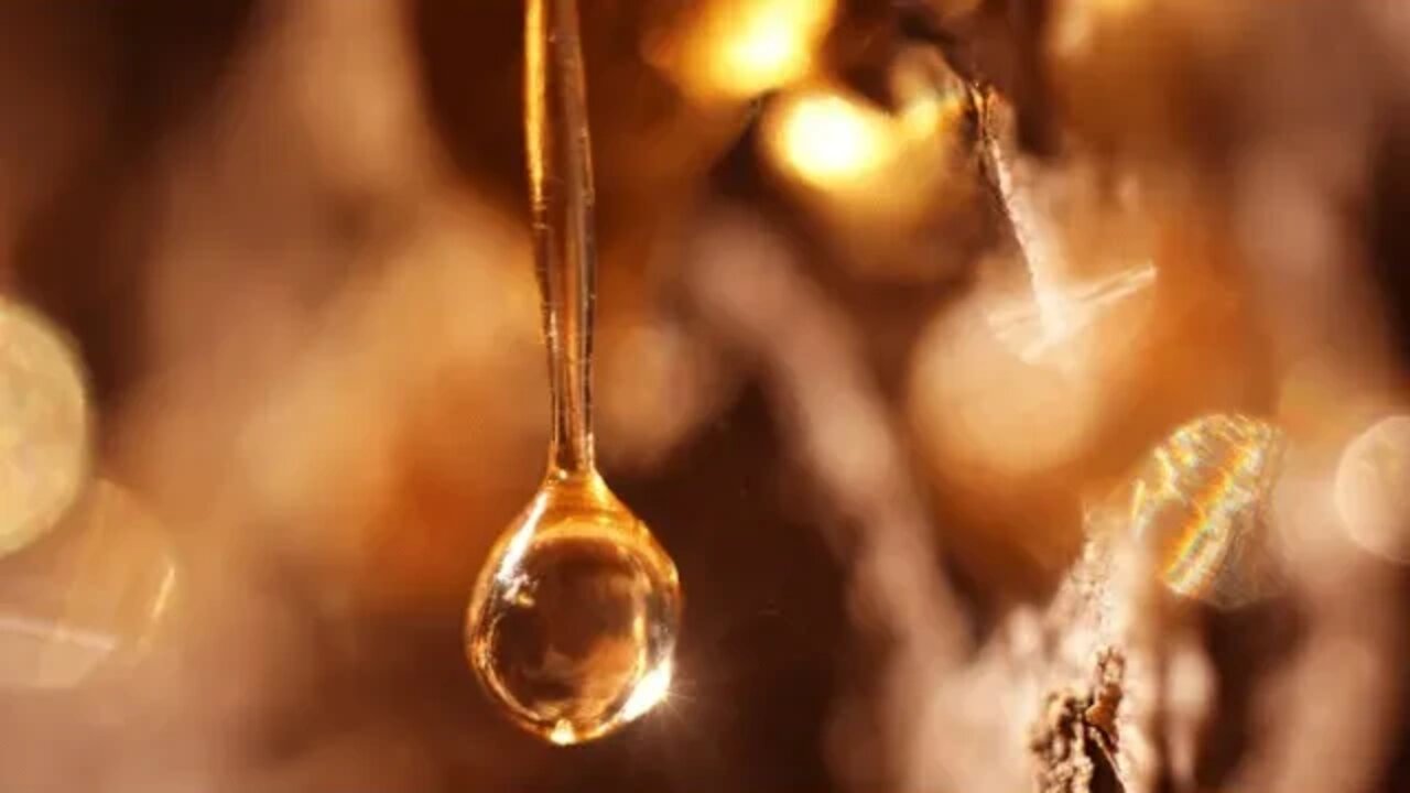 Morning by Morning Spurgeon Encouragement 24th October