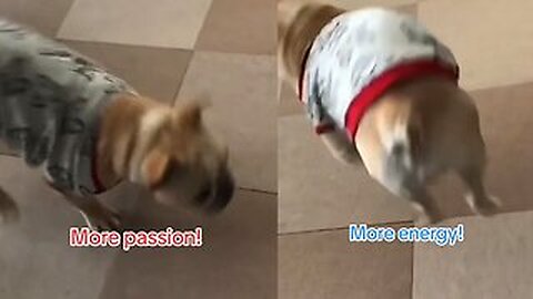 More passion, more energy! 🤣🤣