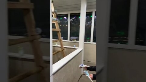 The birds the birds ! LonelyCreek adventures