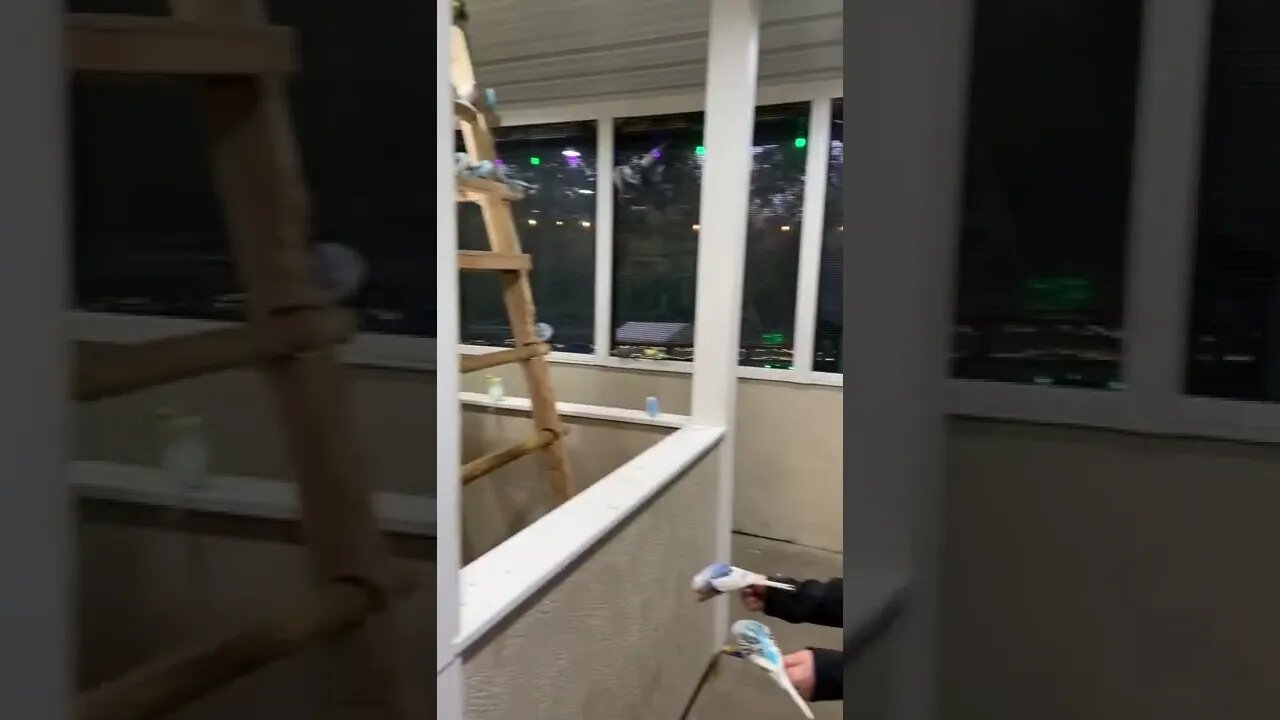 The birds the birds ! LonelyCreek adventures