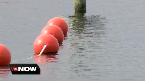 Two gators pulled from Citrus County lake where woman was attacked