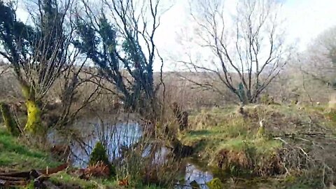Coffee in the tent in the tent 26th March 2023