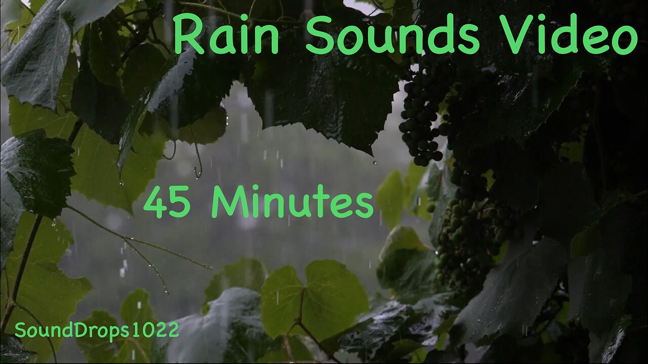 45-Min Rain Soundscape: Mid-Length Peace