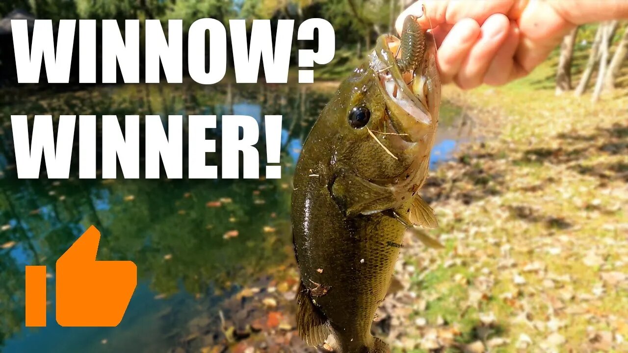 Fall BASS... the Winnow is a WINNER!!