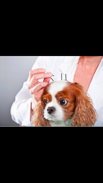 will this work for you?