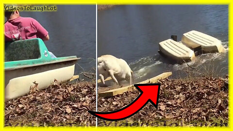 The funniest falls on the internet #1