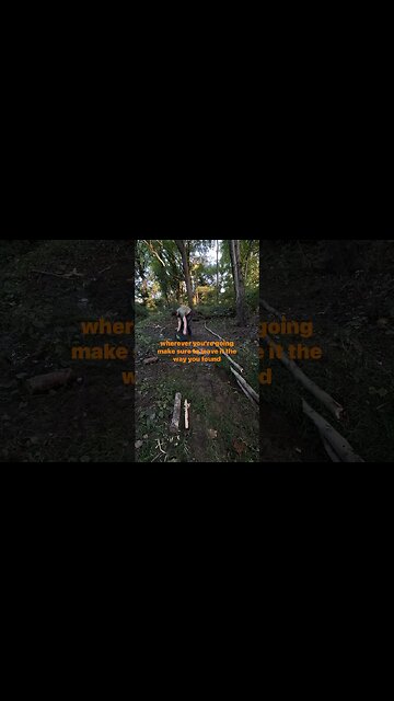 Always Remember: Leave No Trace | Shed Knives #shedknives #shorts