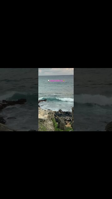 HAPPY ALOHA FRIDAY WITH A MOMENT OF ZEN