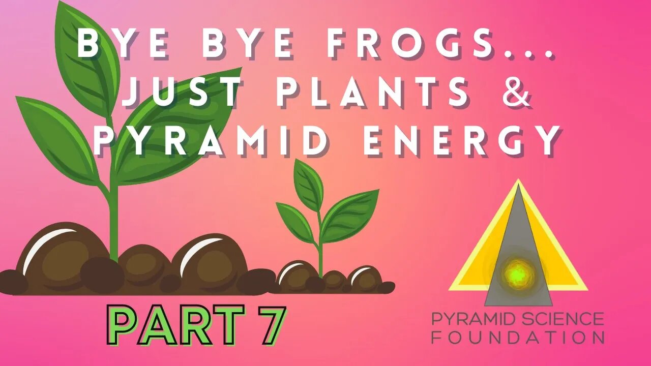 PLANT & PYRAMID ENERGY EXPERIMENT...NO FROGS...JUST PLANTS PART 7