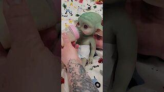 Feeding Yoda Silicone Baby #shorts