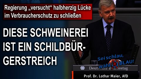 Regierung versucht halbherzig Lücke im Verbraucherschutz zu schließen, Prof. Dr Lothar Maier, AfD