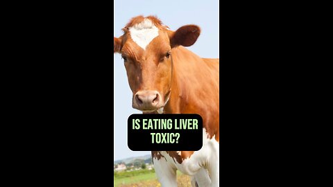 Is eating liver toxic?