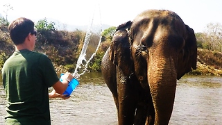 Rescued elephant enjoys river bath