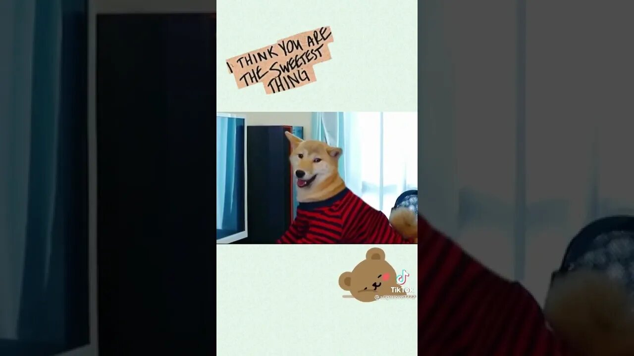 Why the Doggycoin has stopped rising.