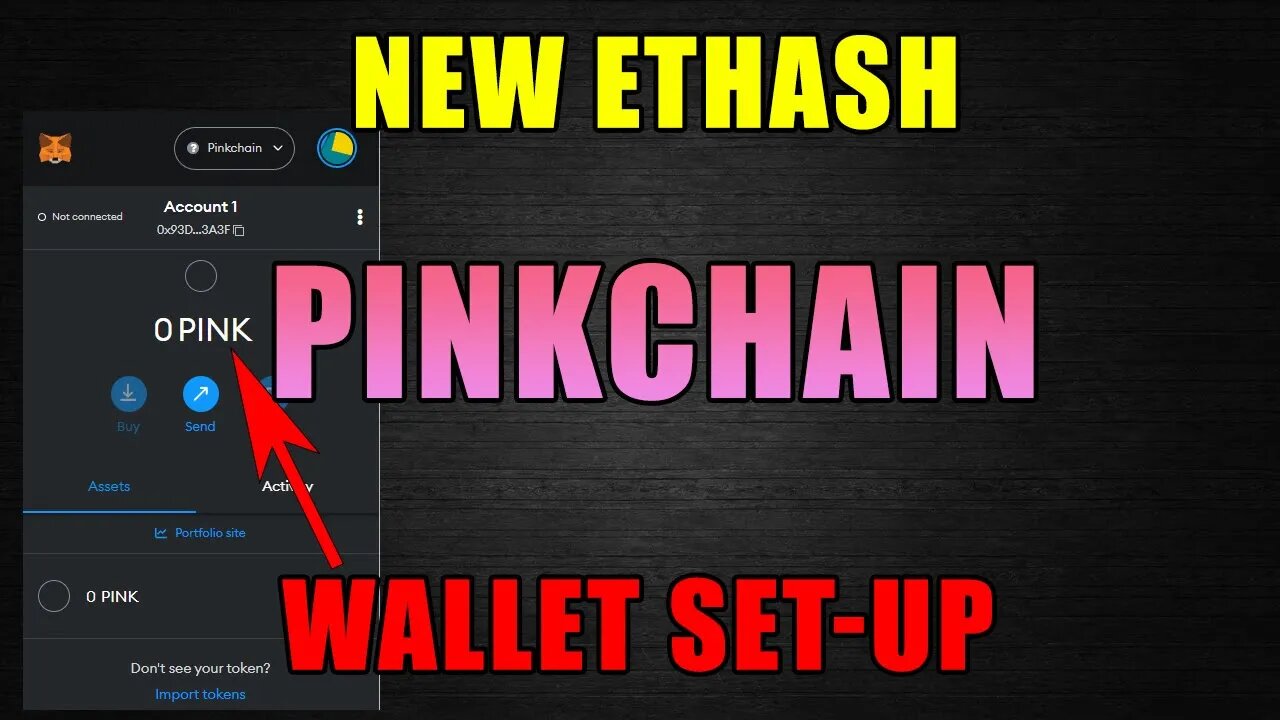 *NEW* PINKCHAIN Wallet Set-Up