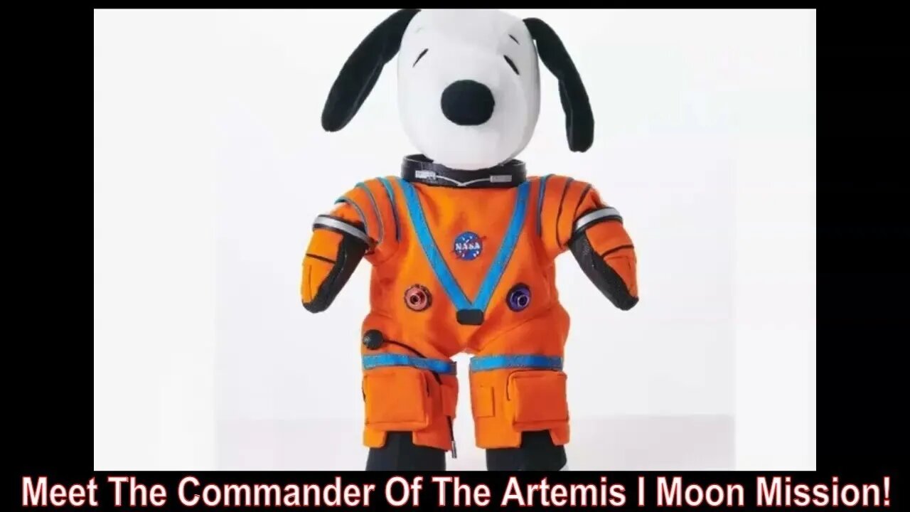 Meet The Commander Of The Artemis I Moon Mission! Seriously!