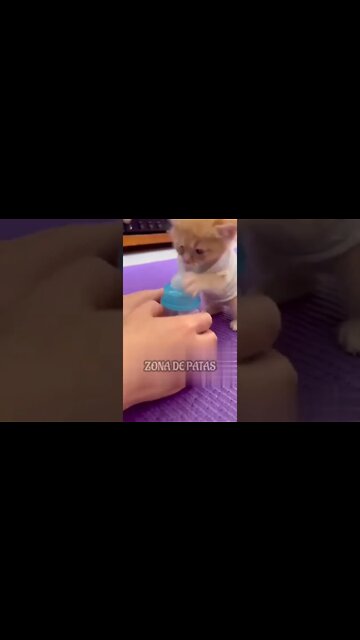 QUANDO SEU FILHO TÁ APRENDENDO A SEGURAR A MAMADEIRA SOZINHO🥰