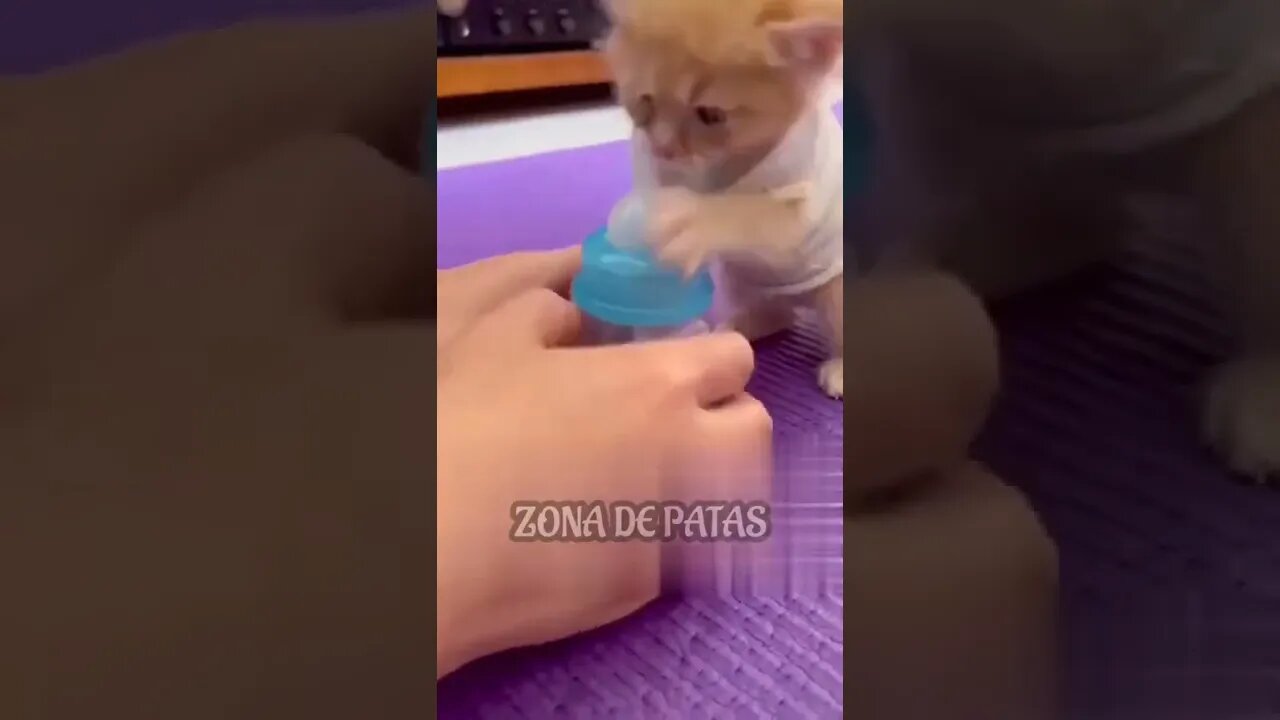 QUANDO SEU FILHO TÁ APRENDENDO A SEGURAR A MAMADEIRA SOZINHO🥰