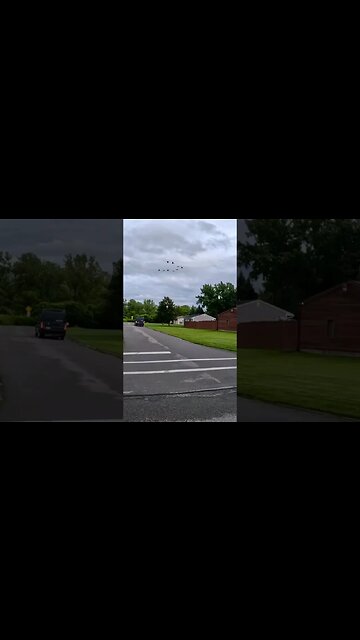 racing a flock of geese #bike #bikecommute #cycling #roadbike