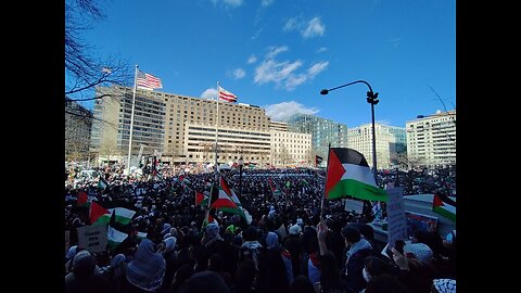 March on Washington for Gaza 2024