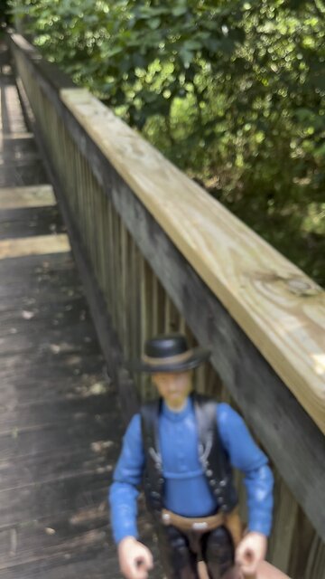 Clay’s Skink Safari