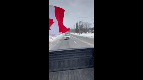 Convoy to Niagara Falls from Hamilton