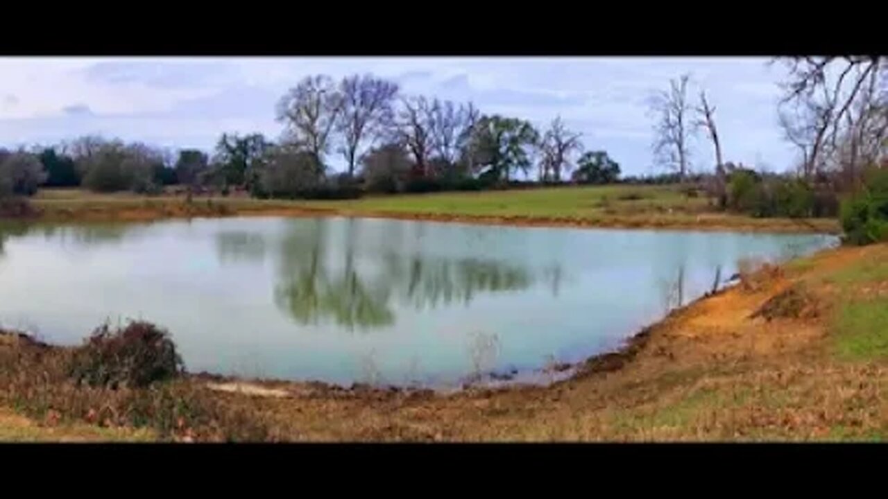 11267 TX 7, Marquez, TX 77865 360 Panorama - Studio Logo