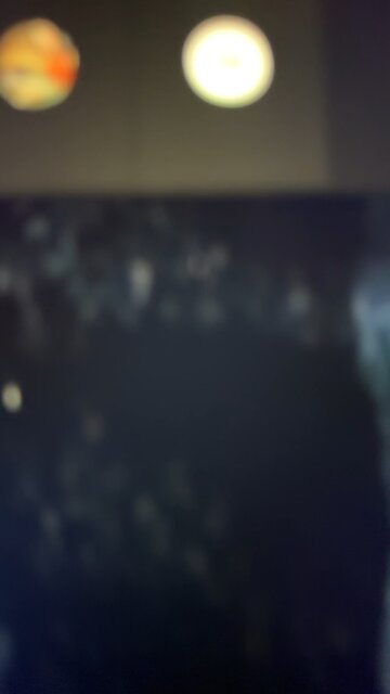 The Pain From Jagger